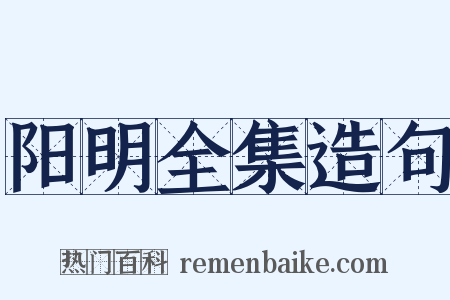阳明全集造句是什么意思的图片